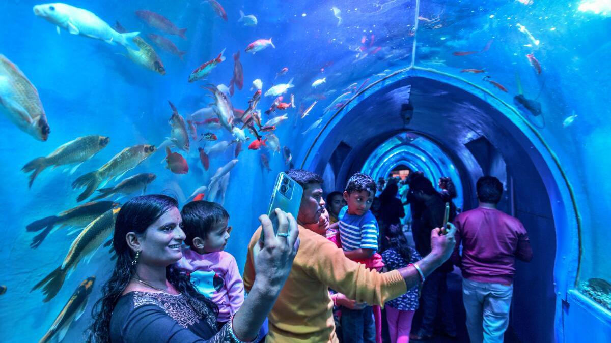 Aquariums - Dial Kerala