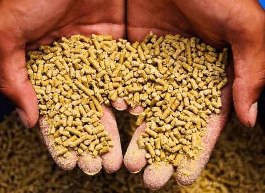 Animal feed store - Dial kerala