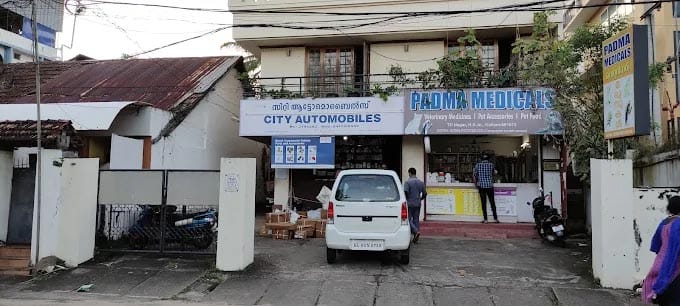 CITY AUTOMOBILES, Kerala