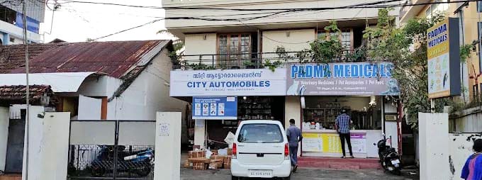CITY AUTOMOBILES